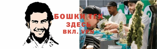 mdpv Арсеньев